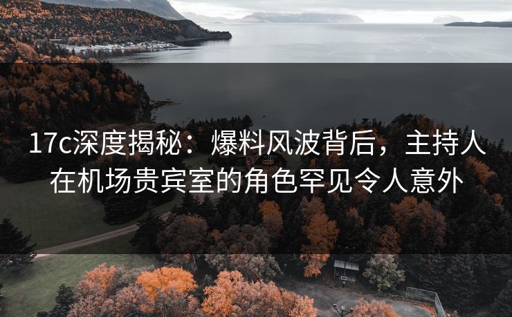17c深度揭秘：爆料风波背后，主持人在机场贵宾室的角色罕见令人意外  第1张