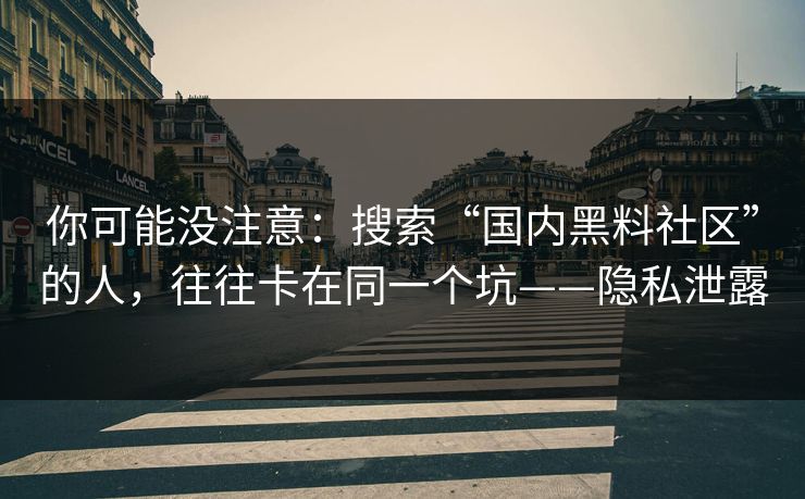 你可能没注意：搜索“国内黑料社区”的人，往往卡在同一个坑——隐私泄露