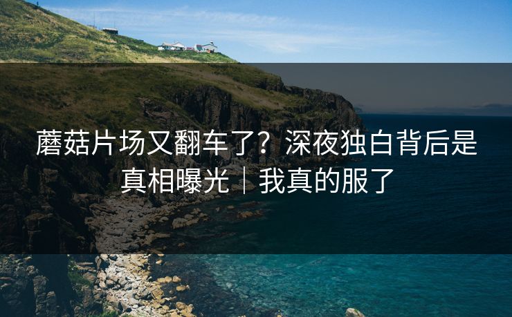 蘑菇片场又翻车了？深夜独白背后是真相曝光｜我真的服了