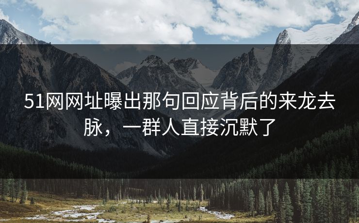 51网网址曝出那句回应背后的来龙去脉，一群人直接沉默了